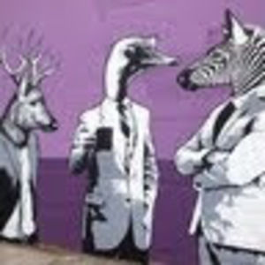 Meet your Posher, Jack haden